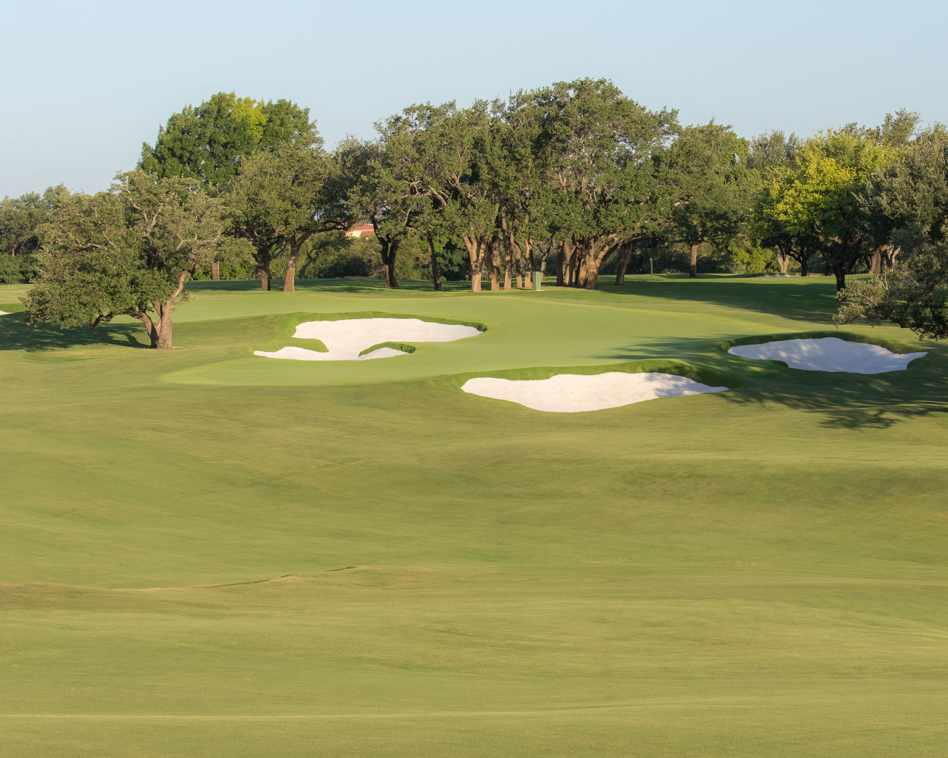 Shady Oaks OCM Golf