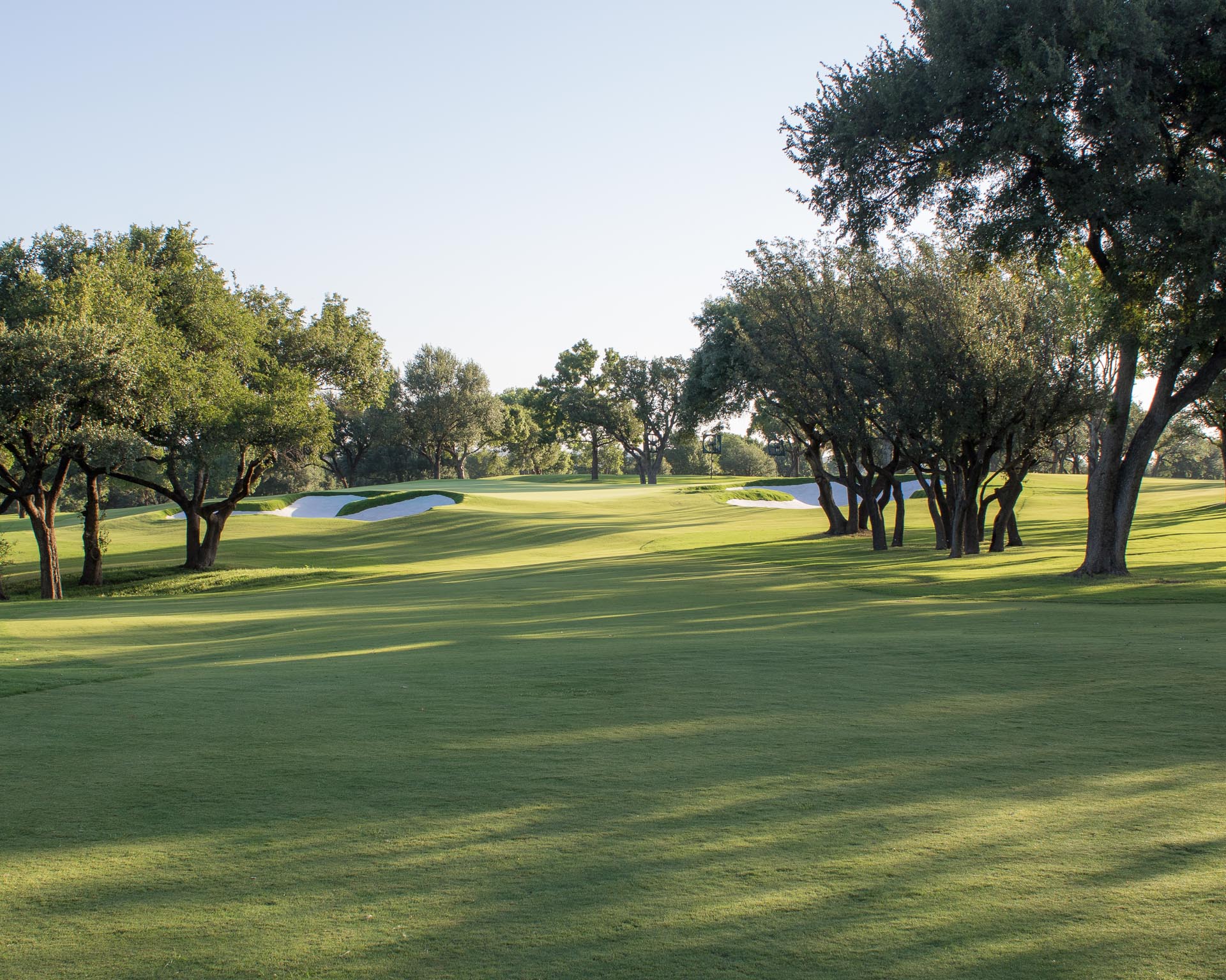 Shady Oaks OCM Golf